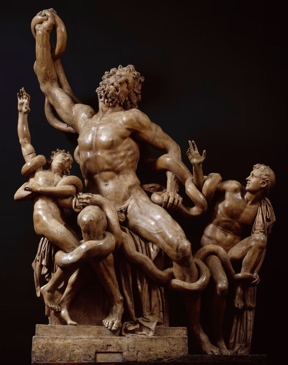 Laocoön and His Sons — struggle against fate